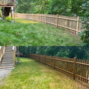 Blackstone_before_after1