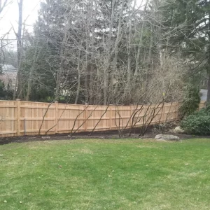 wood fencing